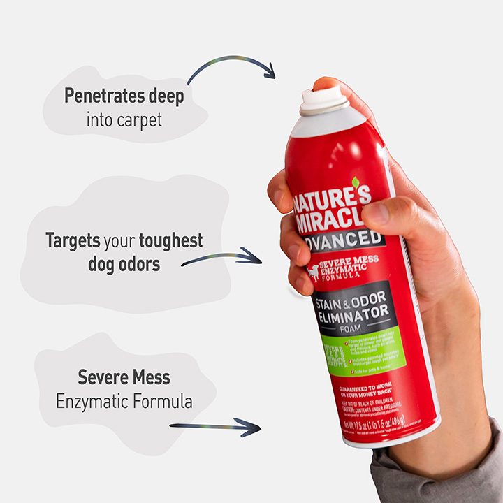 Out advanced severe stain and odor remover new arrivals